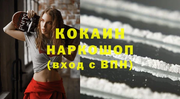 ПСИЛОЦИБИНОВЫЕ ГРИБЫ Горно-Алтайск