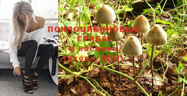 первитин Горняк