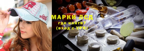 apvp Алексин